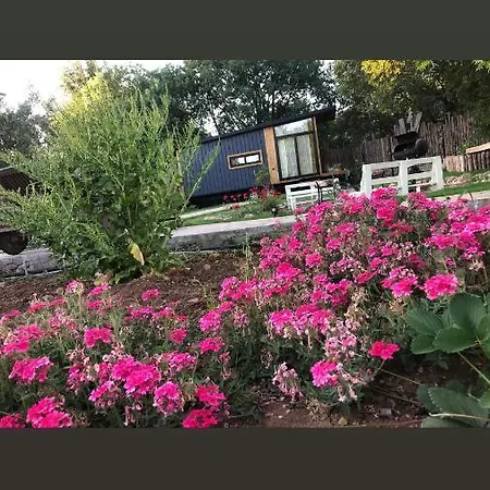 Pensión Tiny House Kumquat *
